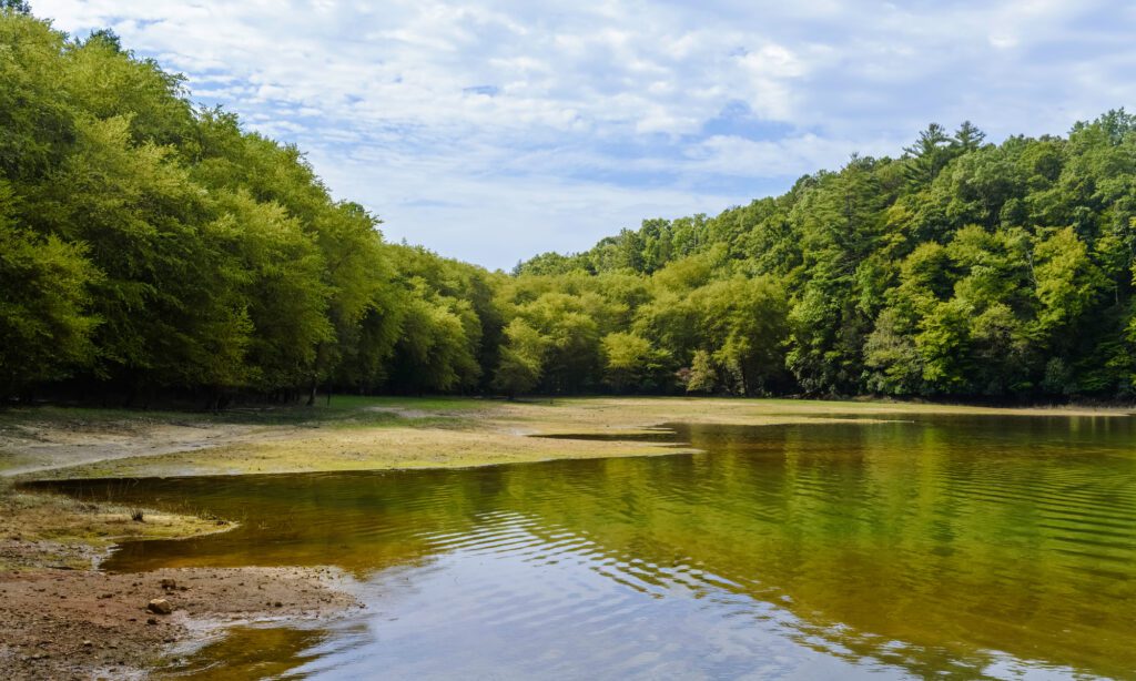 A Lagoon on a Peaceful Summer Morning Flanked by Trees Under Blue Sky in Nantahala National Forest Near Blue Ridge, Georgia, USA