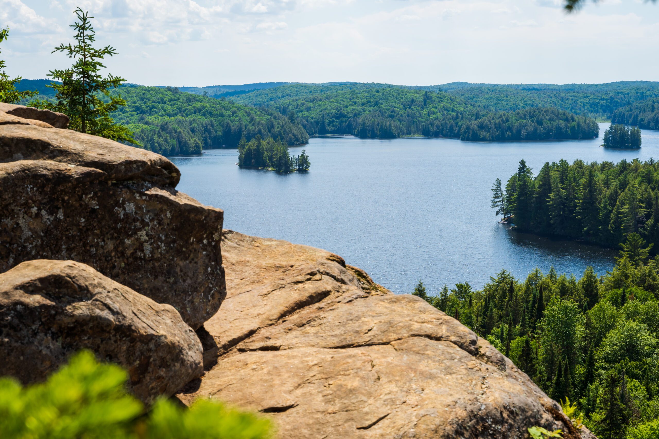 Aerial View of a Canadian Forest From a Top of a Rocky Hill